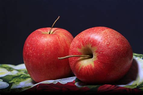 elma hangi mevsimde yenir